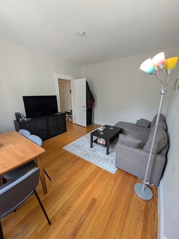 370 Chestnut Hill Ave, Brighton
