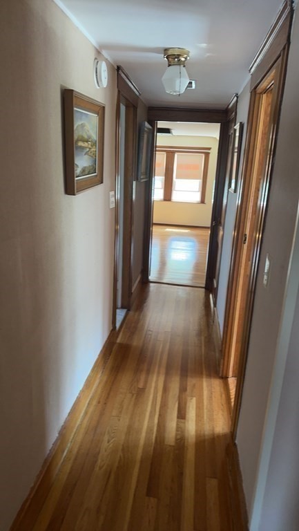 48 Trapelo, Brighton