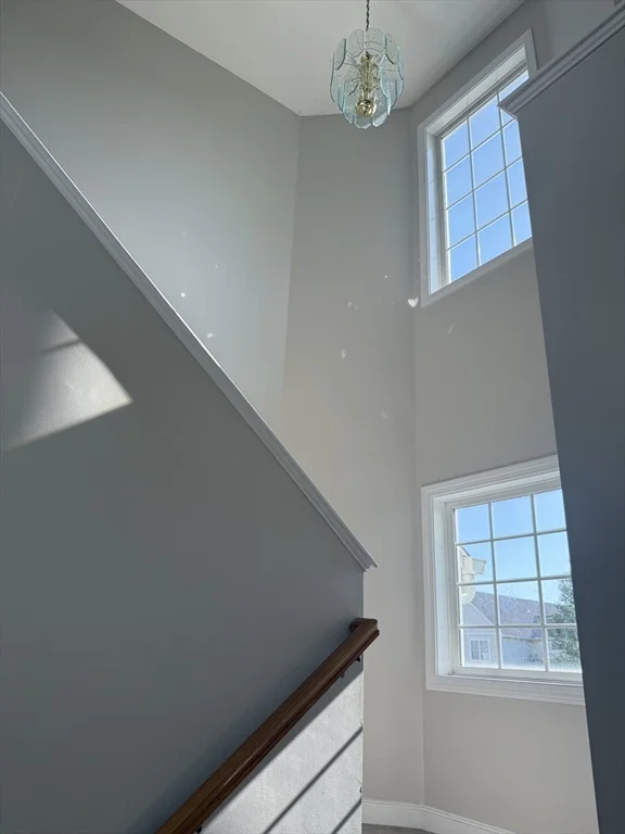 73 Odonnell Ave, Shrewsbury