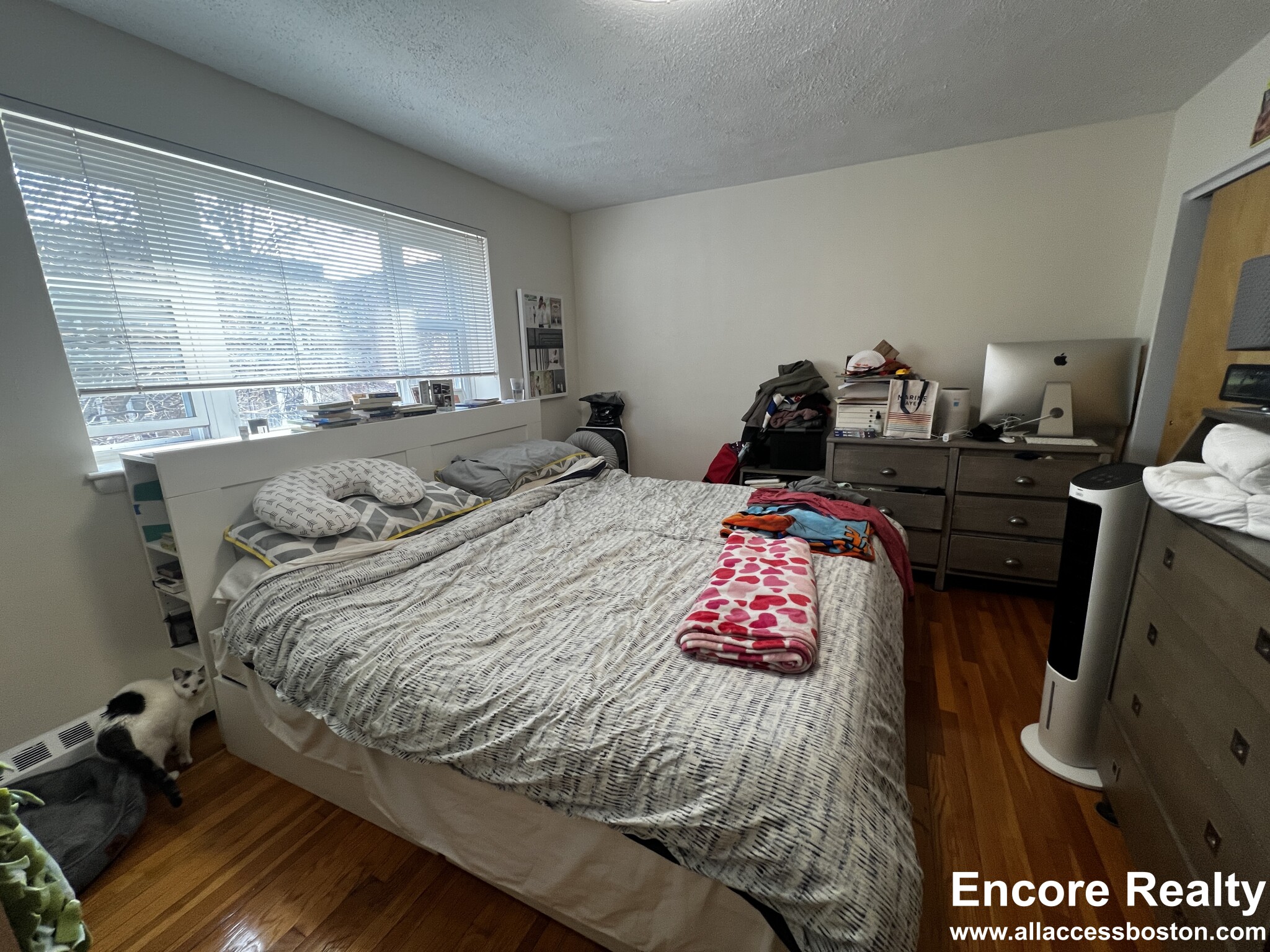 63 Parkman St, North Brookline