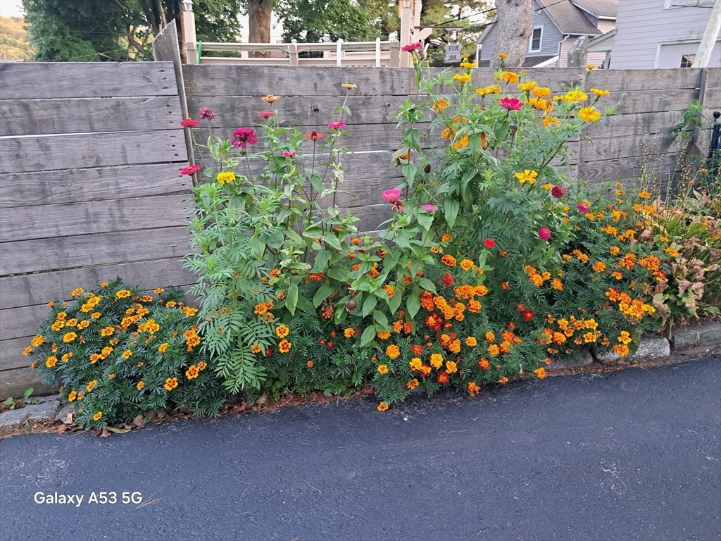 40 Ames St, Rice Square