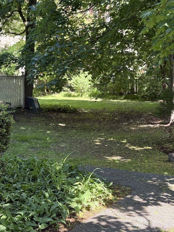 19 Harvard Ave, Brookline