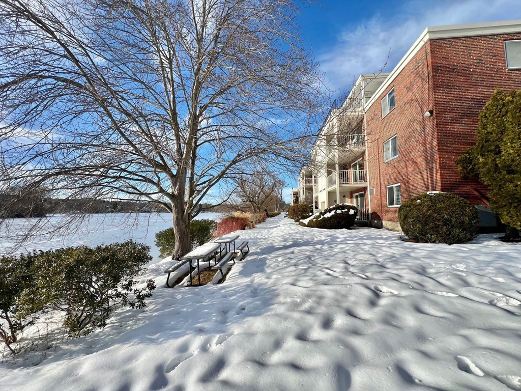 20 Hamilton Rd, Arlington