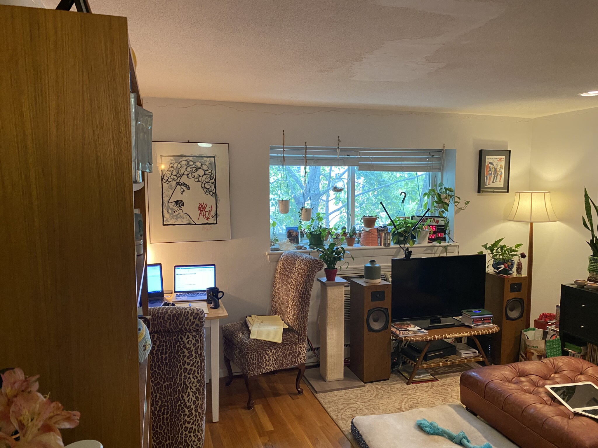 15 Euston Rd, Brighton