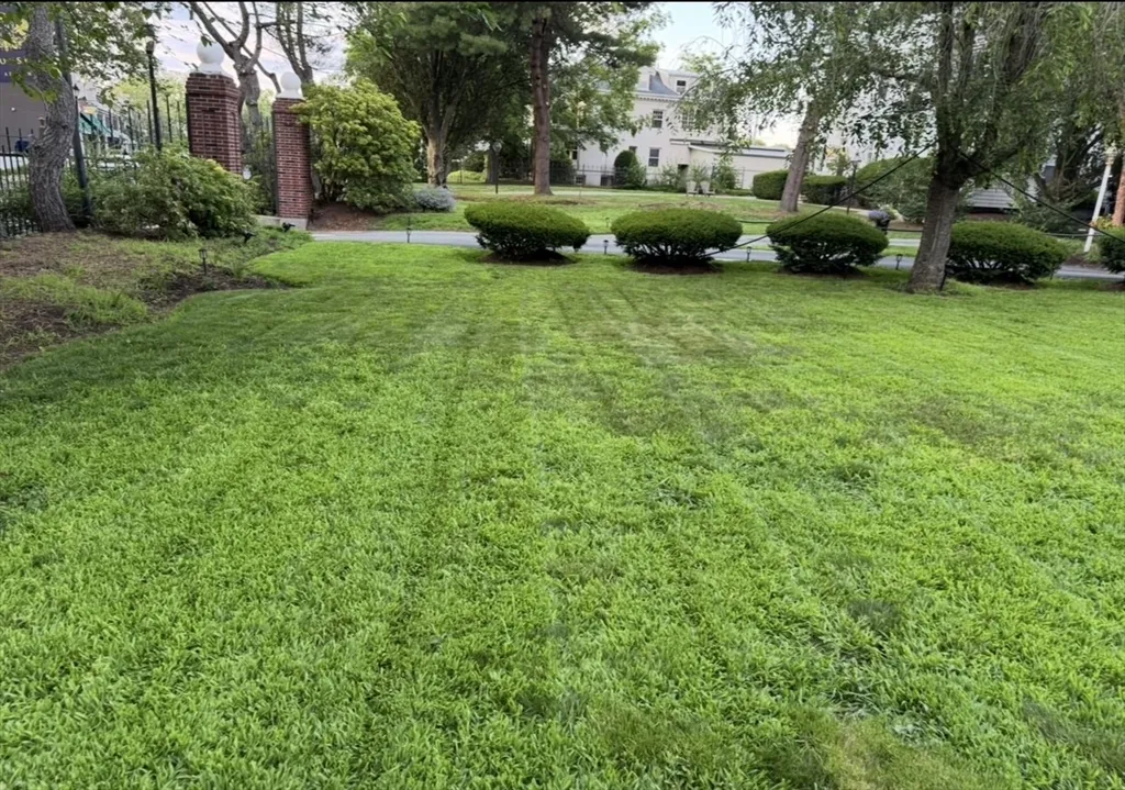 600 Washington St, Wellesley