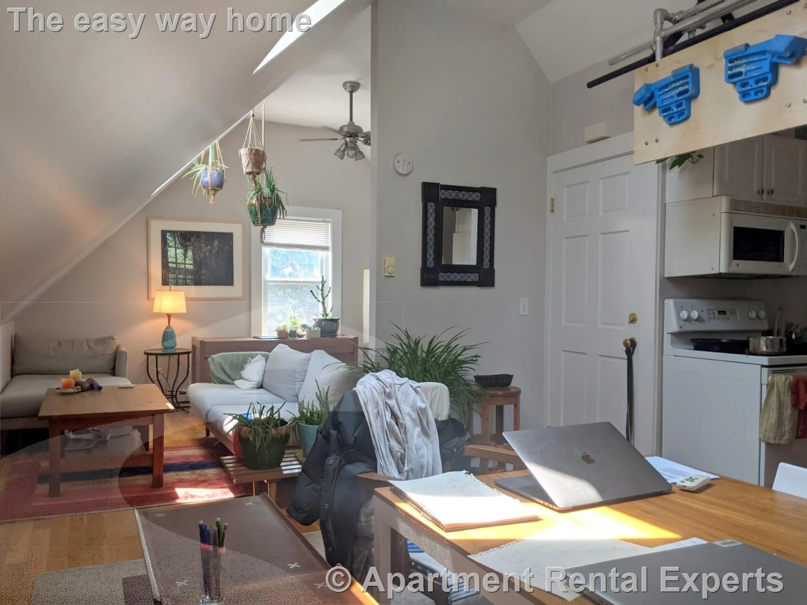 67 Hudson St, Spring Hill