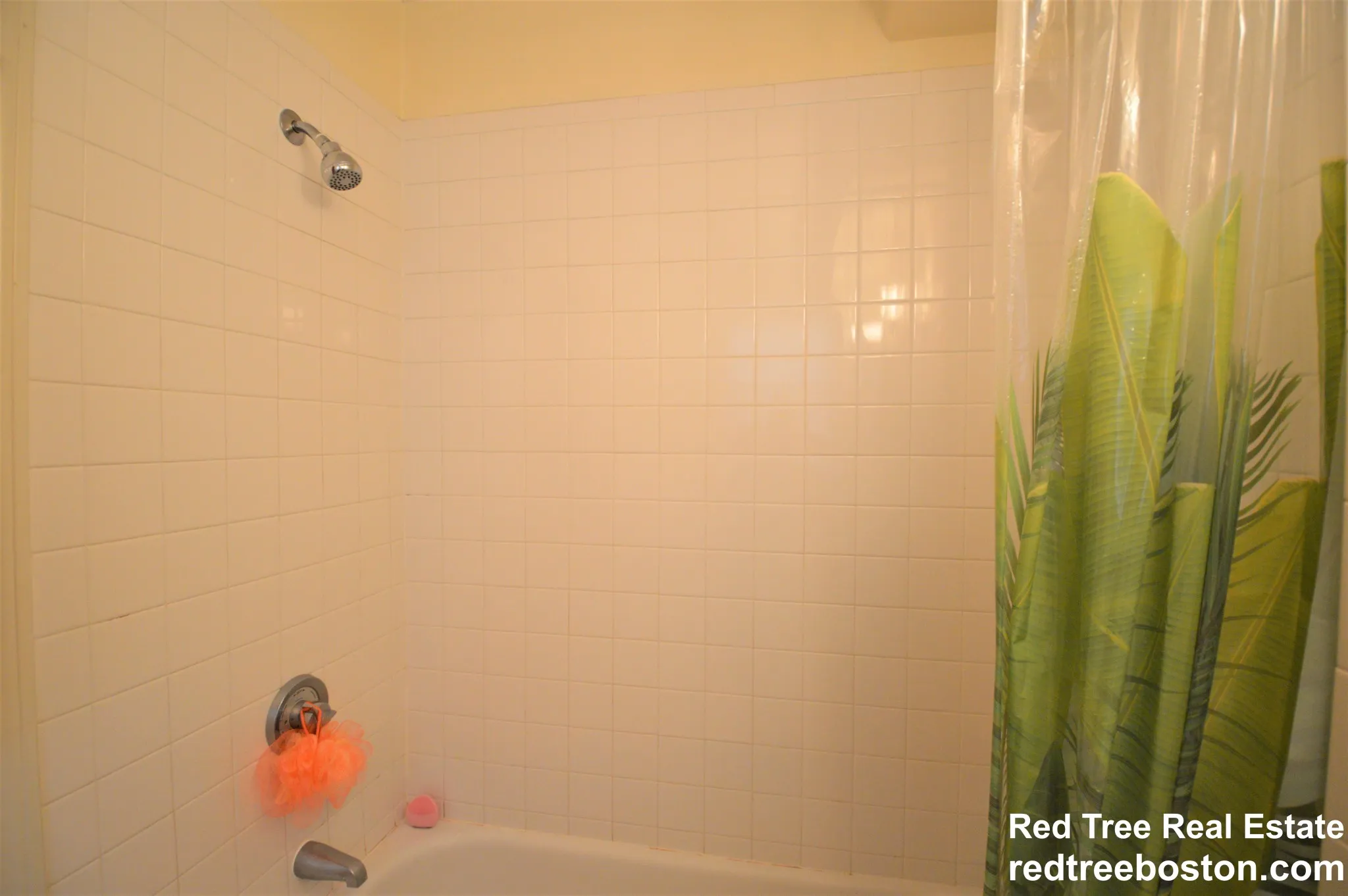 1406 Beacon St, Corey Hill