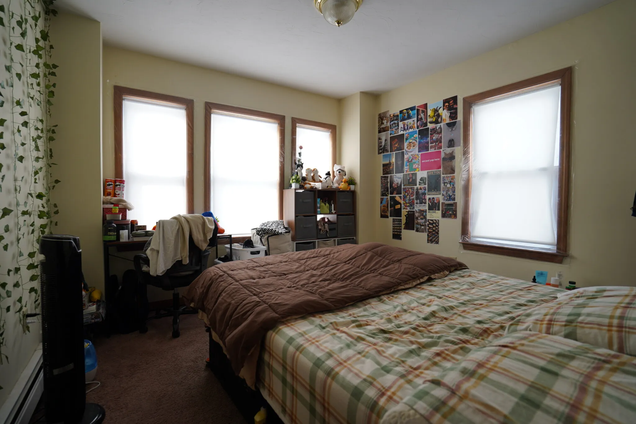 29 Colborne Rd, Brighton