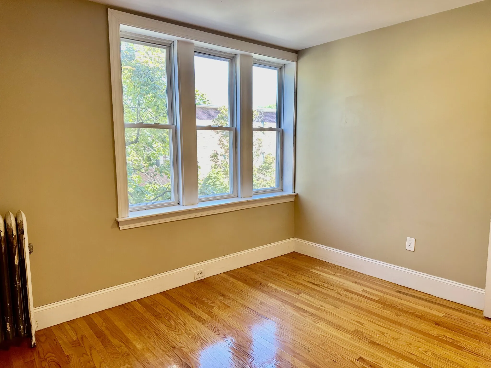 74 Egmont St, North Brookline