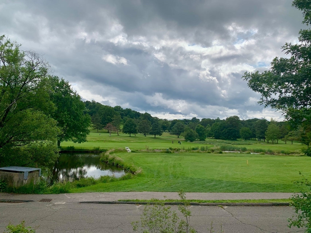 10 Lake Shore Ct, Brighton