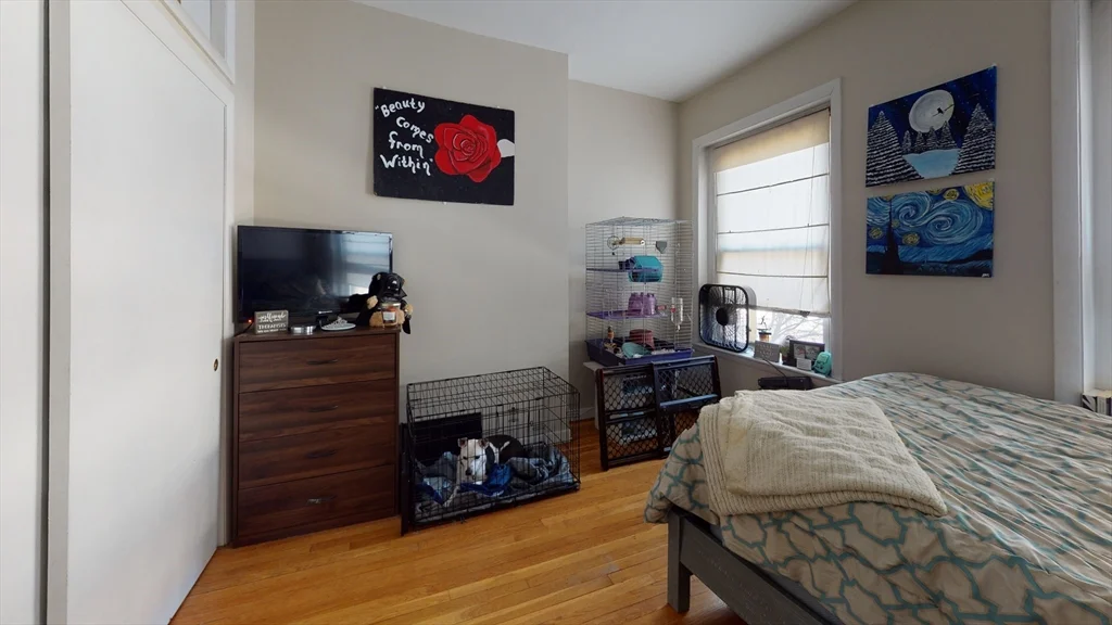 15 University Rd, Brookline Hills