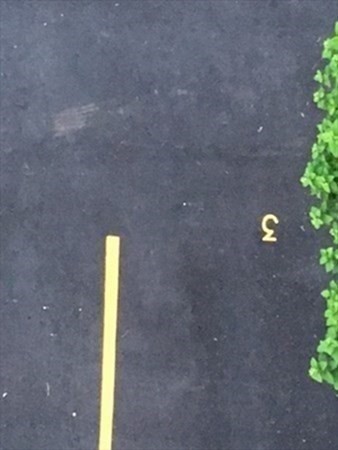 1493 Beacon St, Griggs Park