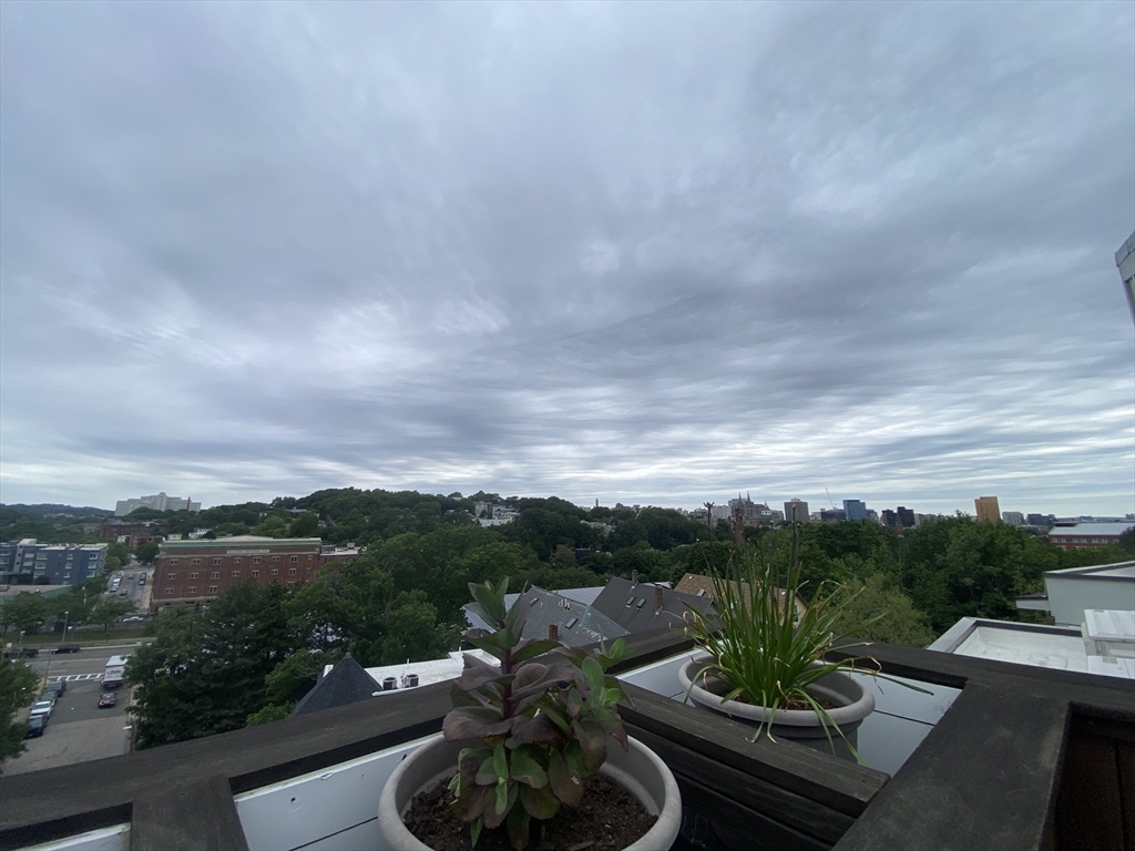 78 Fort Ave, Roxbury