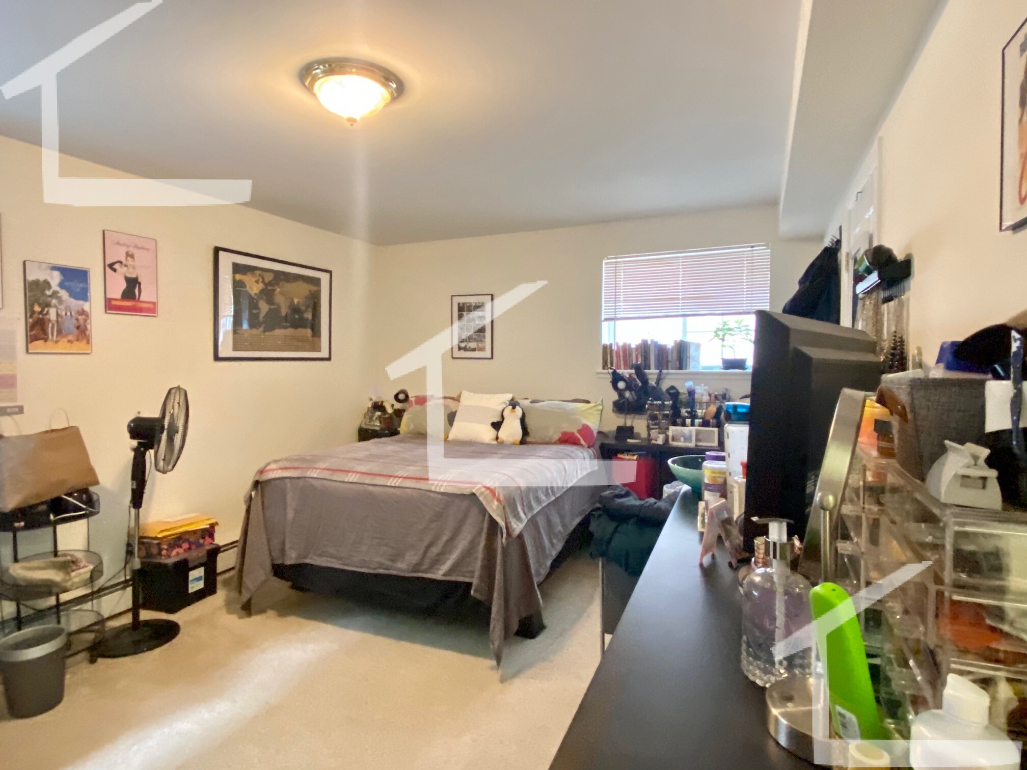 8 Griggs St, Brighton