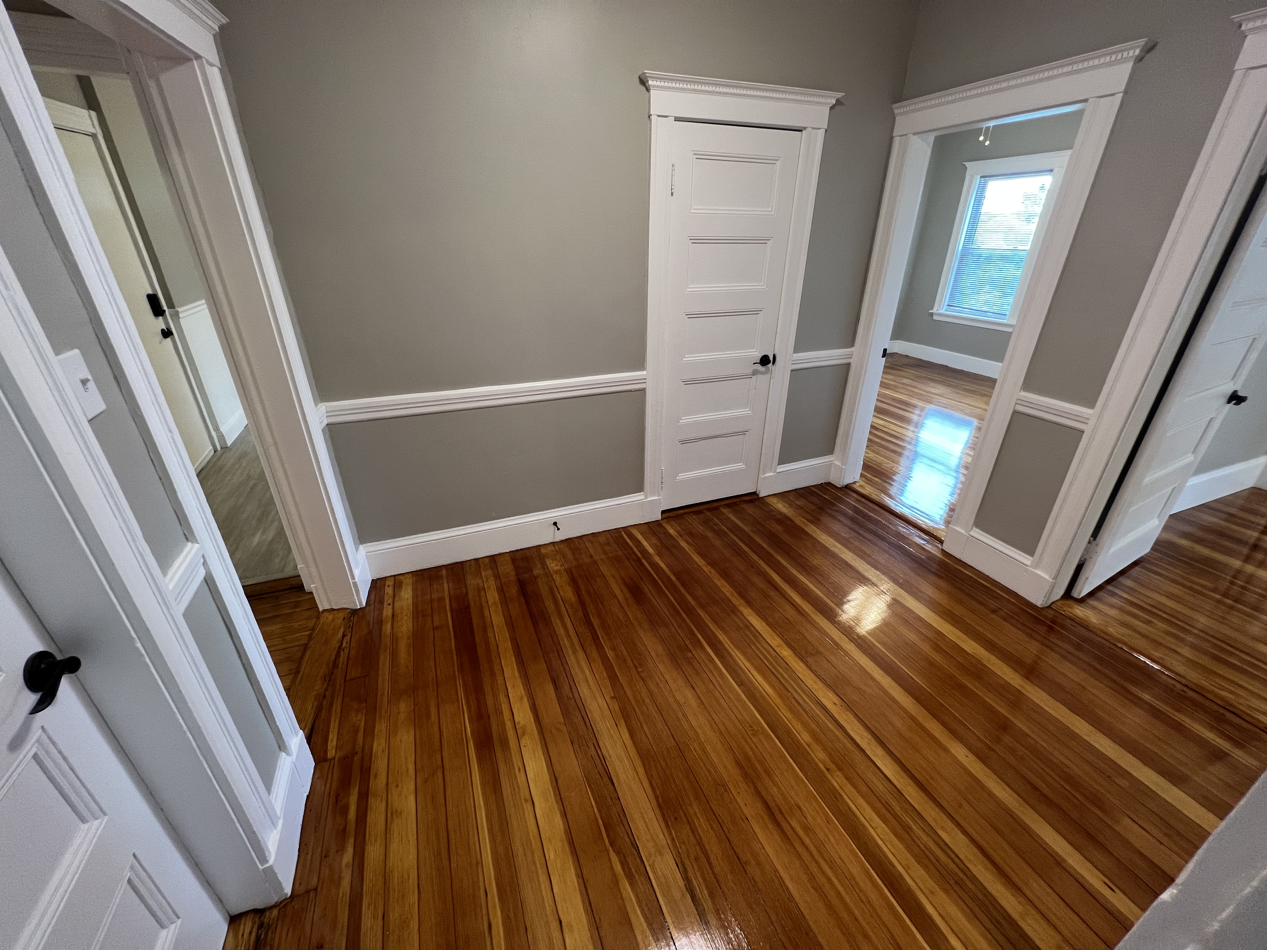 51 Ibbetson St, Spring Hill