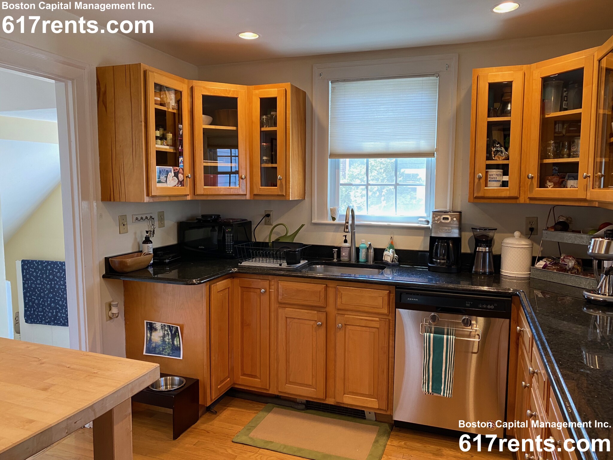 22 Cleveland Rd, Wellesley