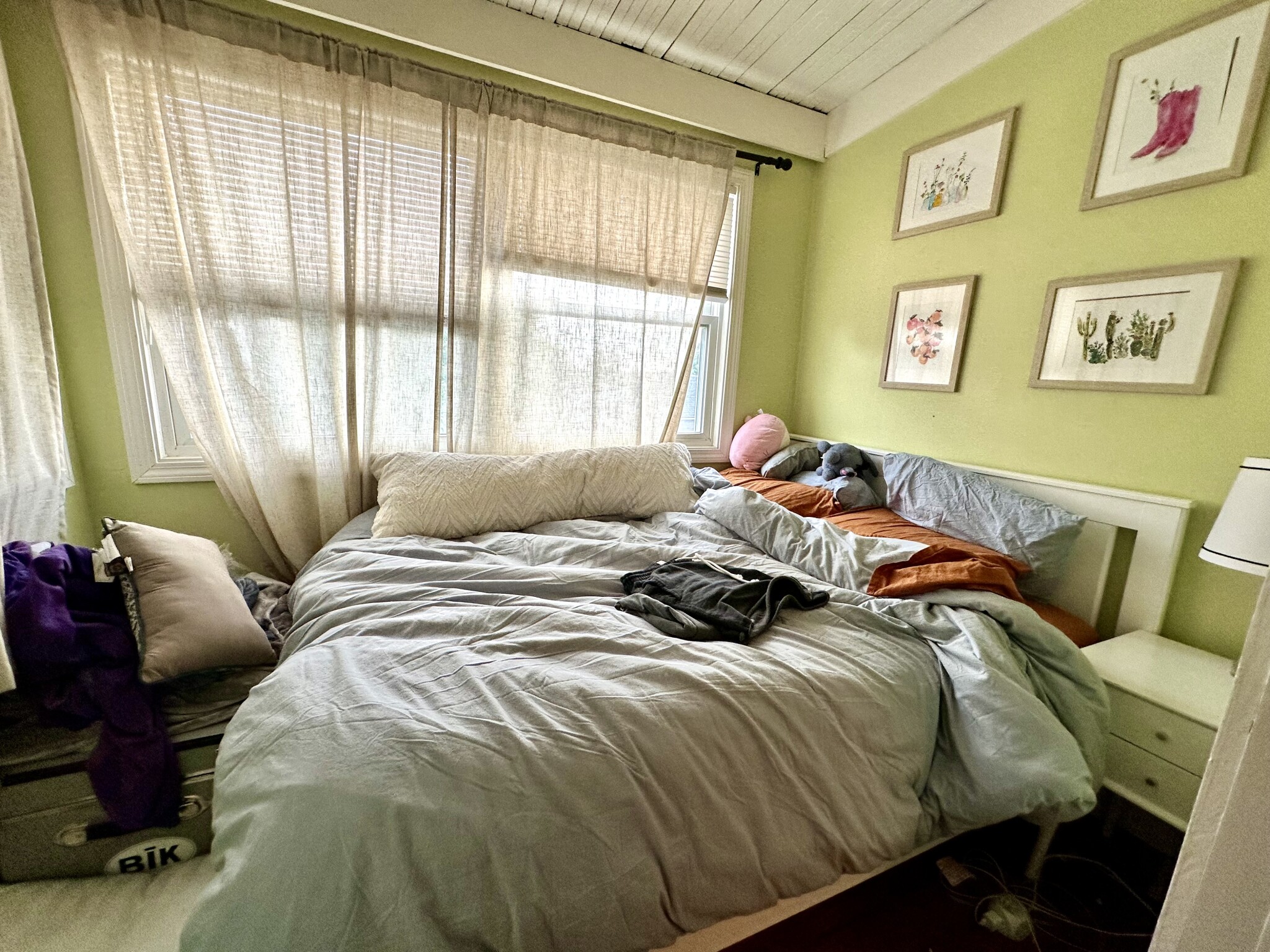 223 Summer St, Spring Hill