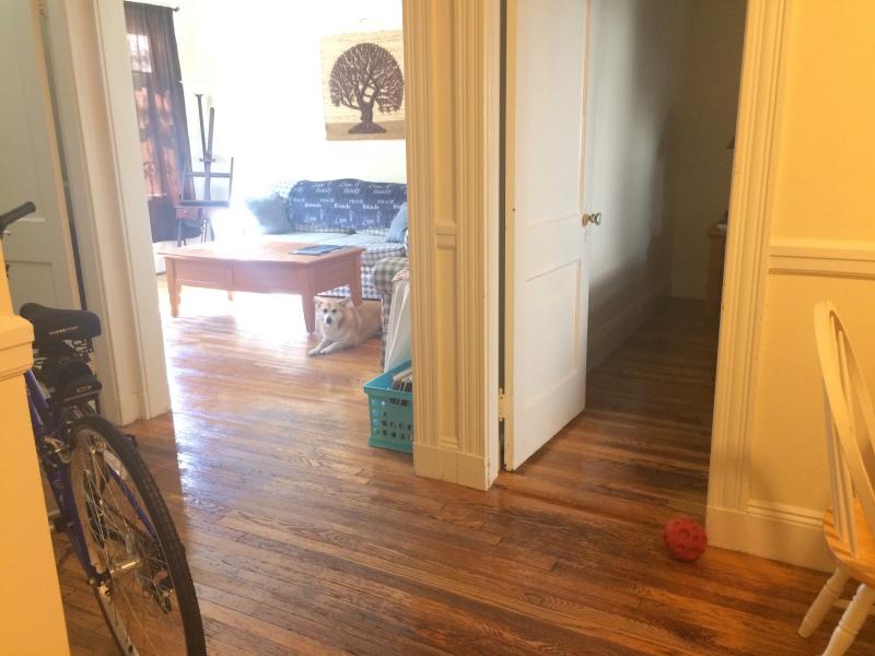 3 Lothian Rd, Brighton