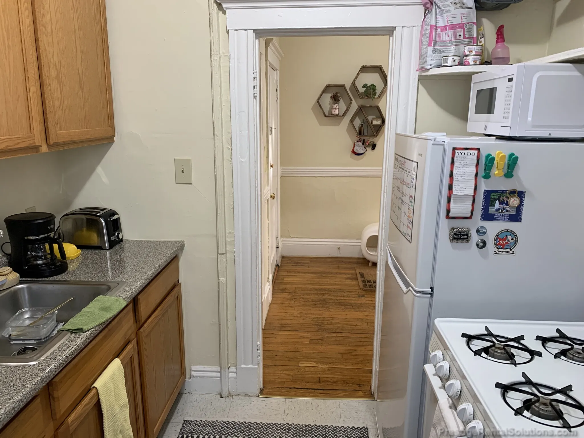 159 Kelton St, Brighton