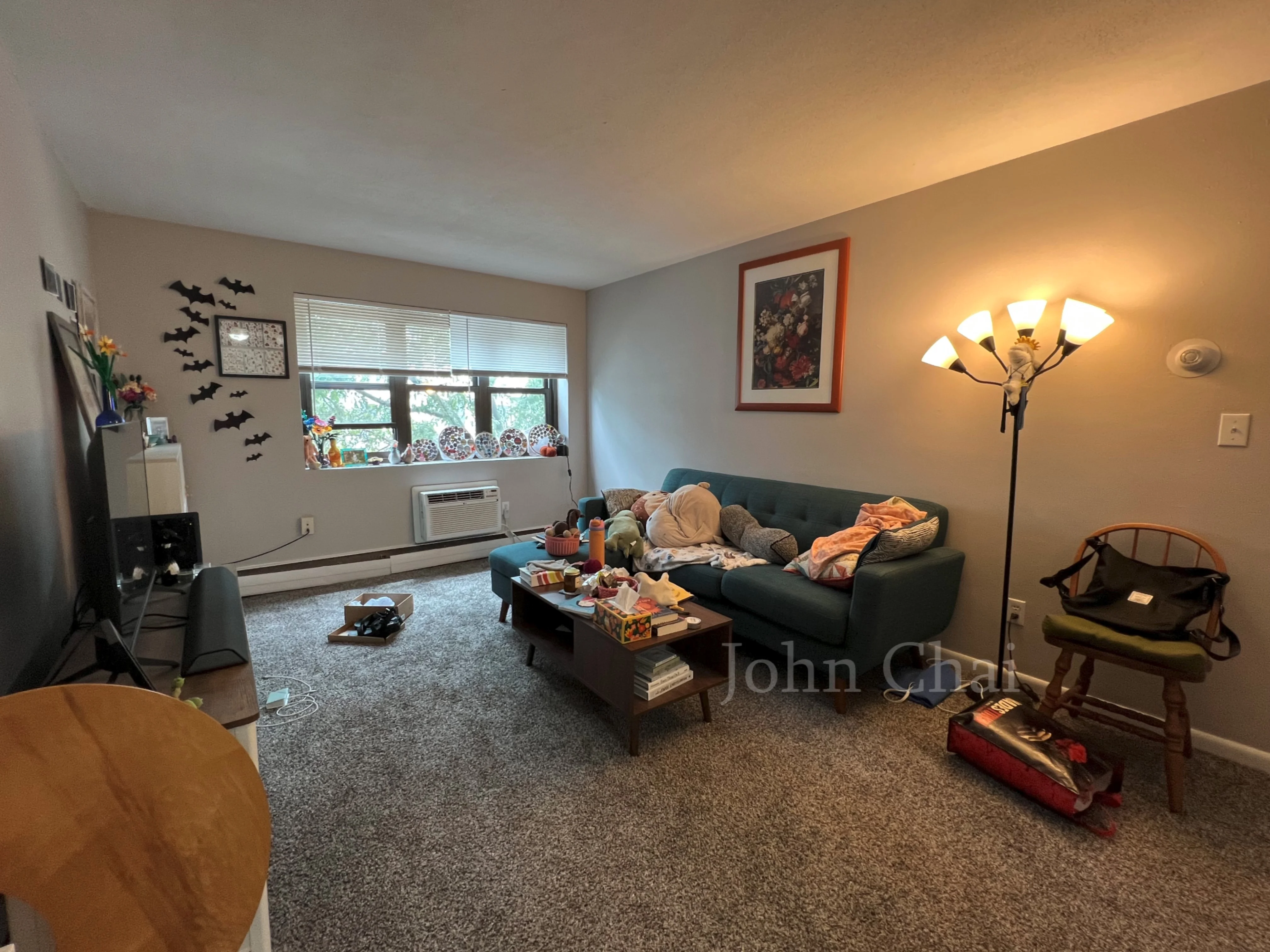 39 Shepard St, Brighton