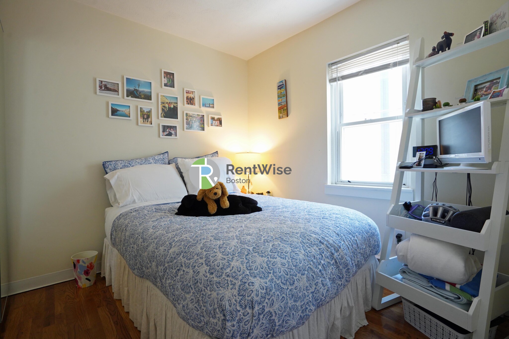 2 Schrepel Pl, South Boston