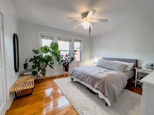 23 Goldsmith St, Jamaica Plain