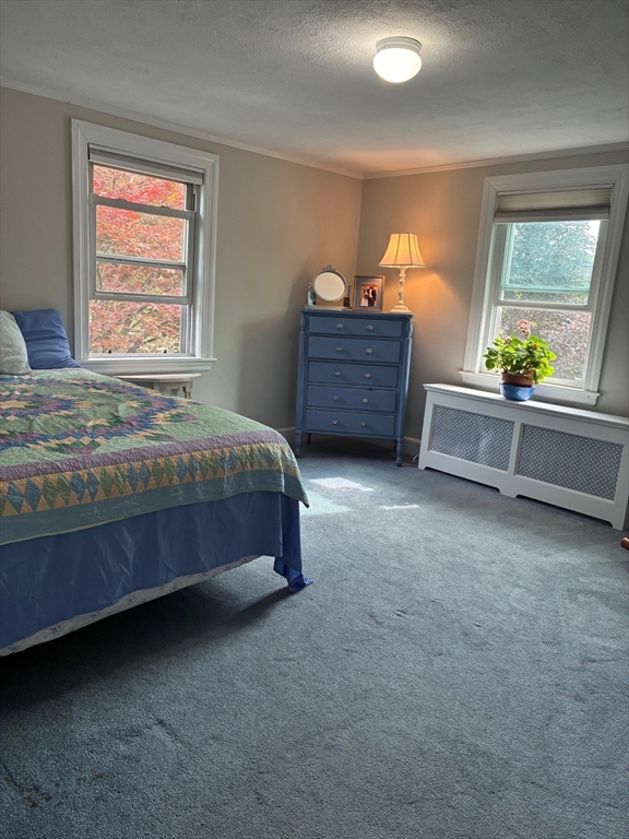 28 Coolidge Rd, Belmont