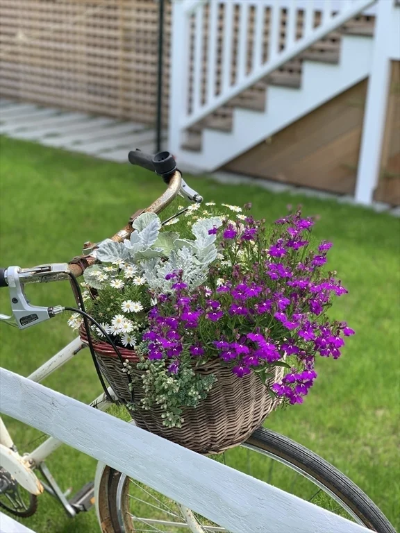 66 Hulbert Ave, Nantucket