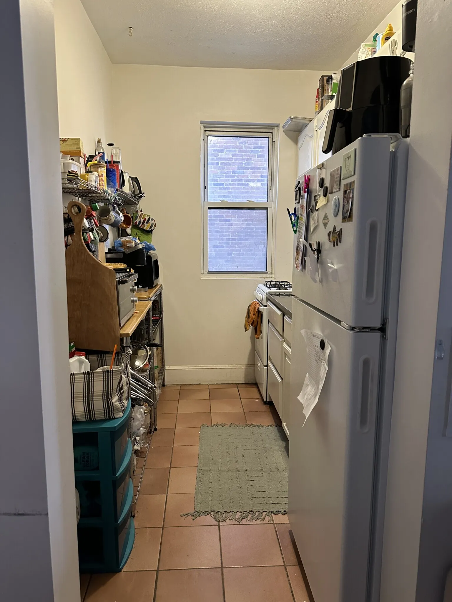 15 Scottfield Rd, Brighton