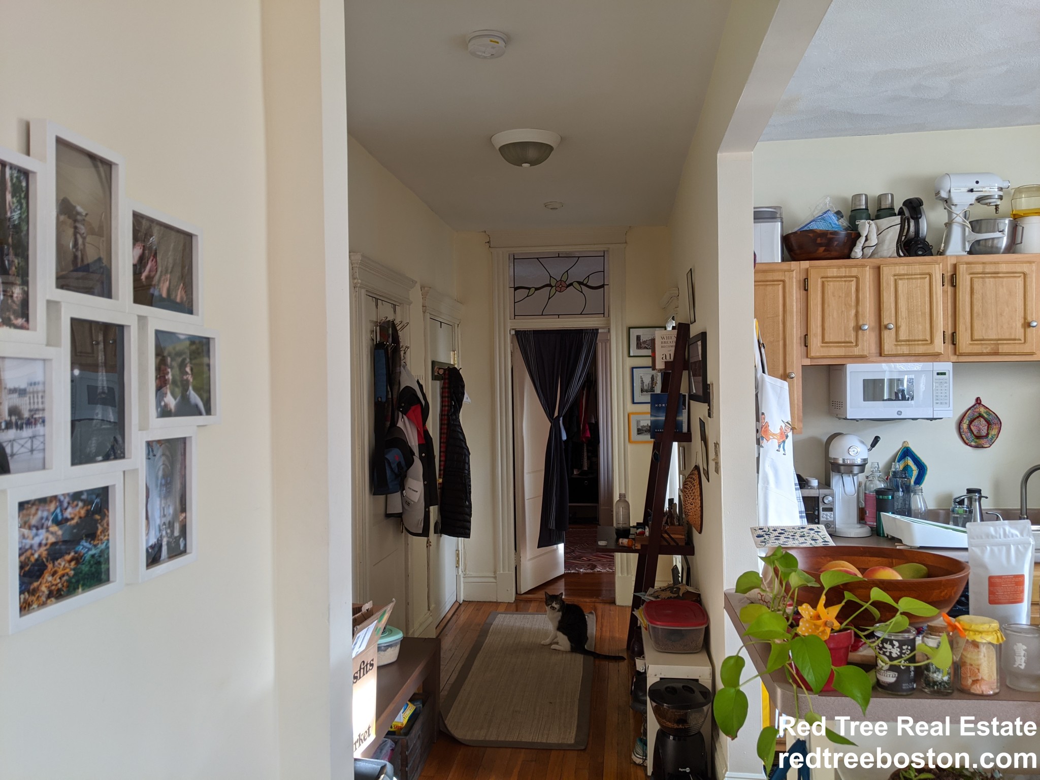 98 Queensberry St, Fenway