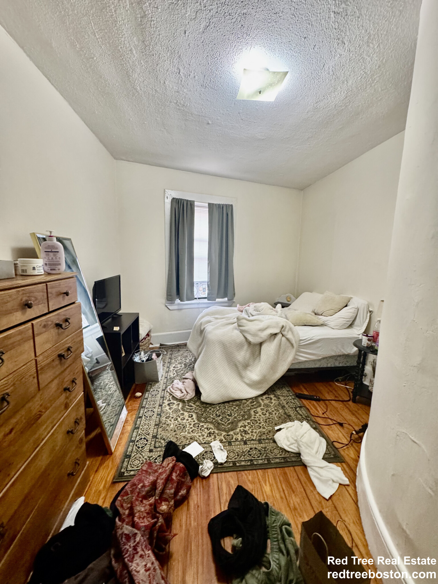 5 Glen Rd, Jamaica Plain