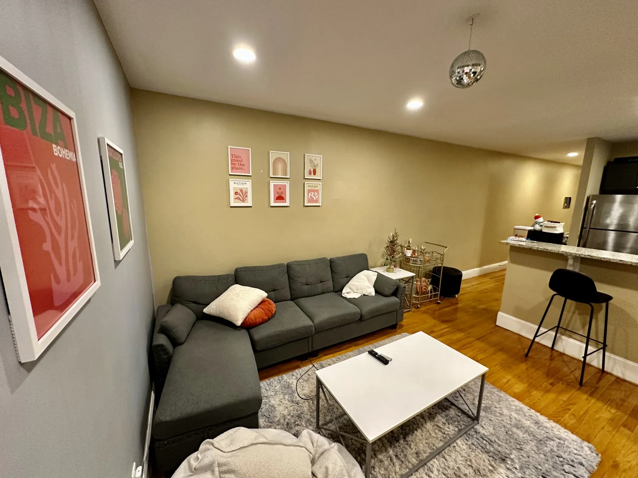 56 Egmont St, North Brookline