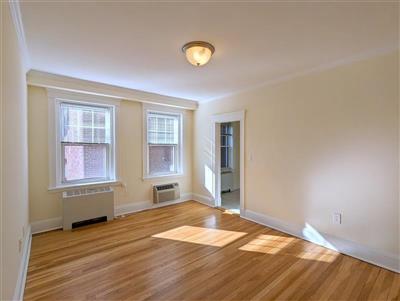 22 Chauncy St, Neighborhood Nine