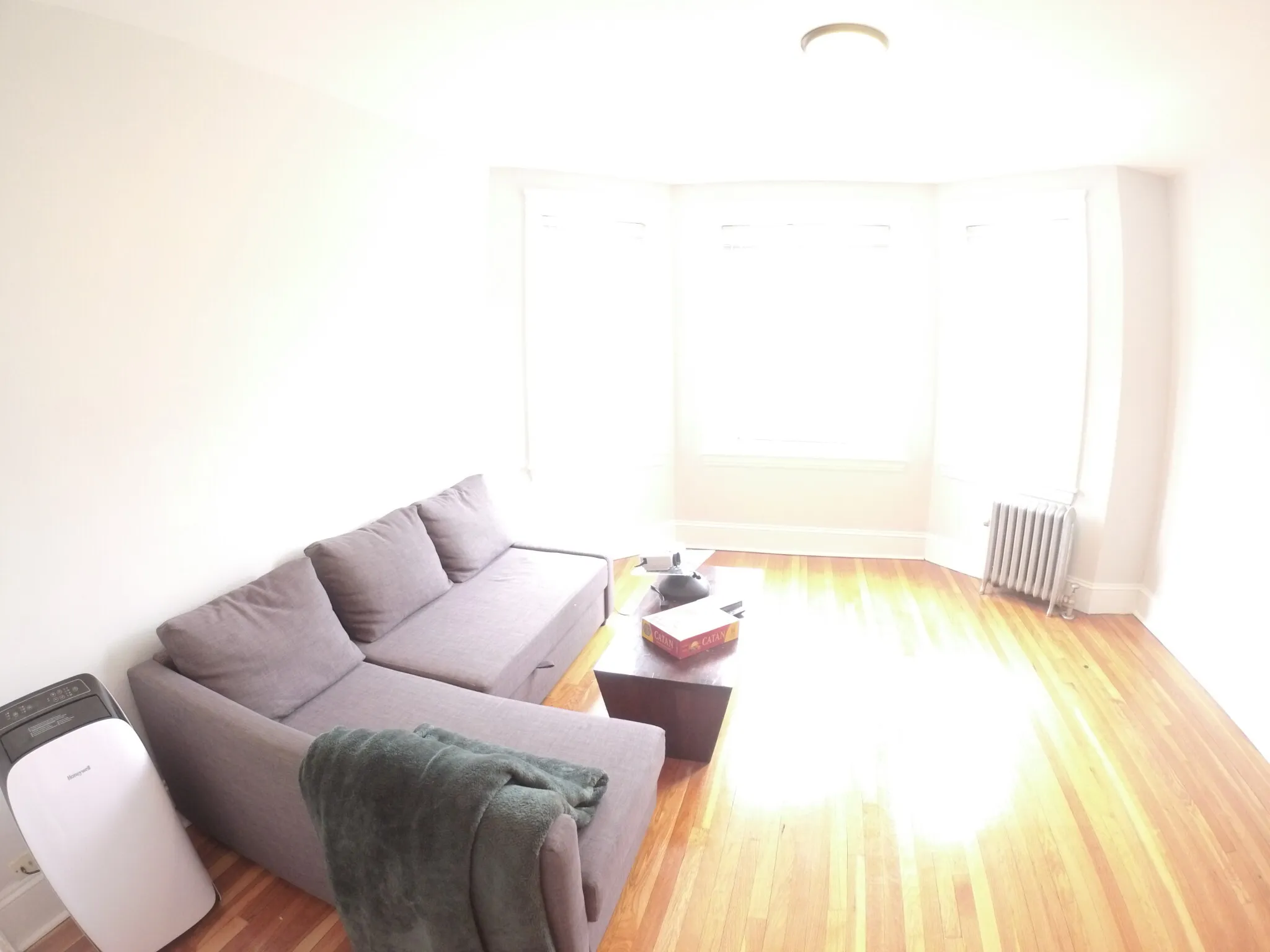 241 Freeman St, North Brookline