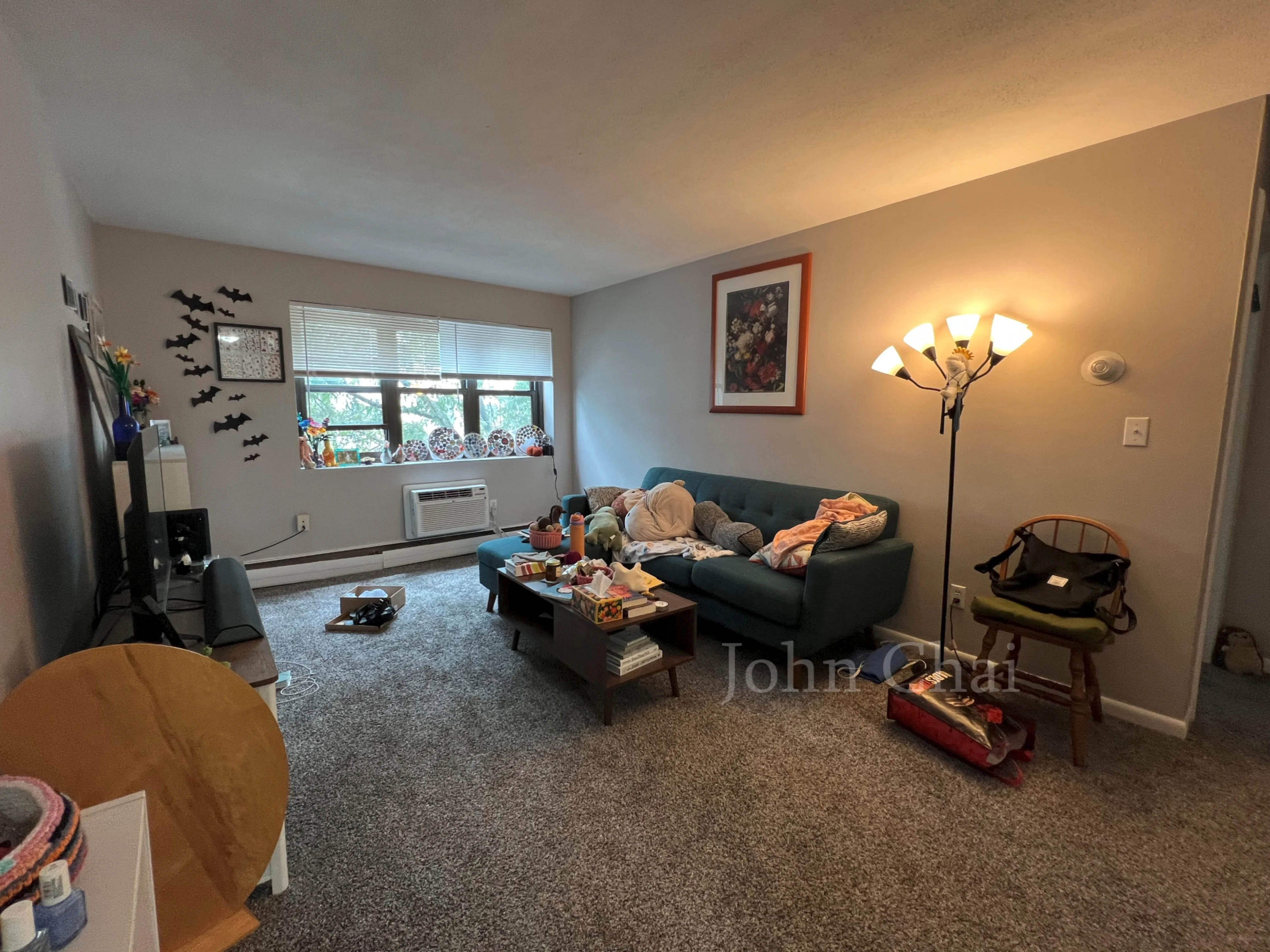 39 Shepard St, Brighton