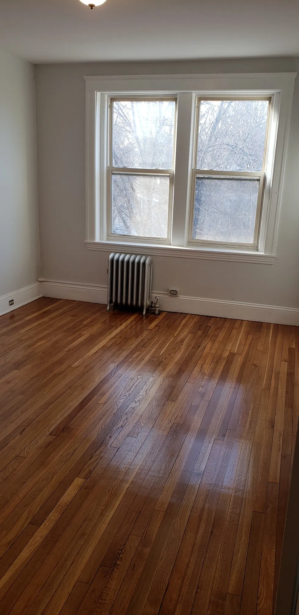 241 Freeman St, North Brookline