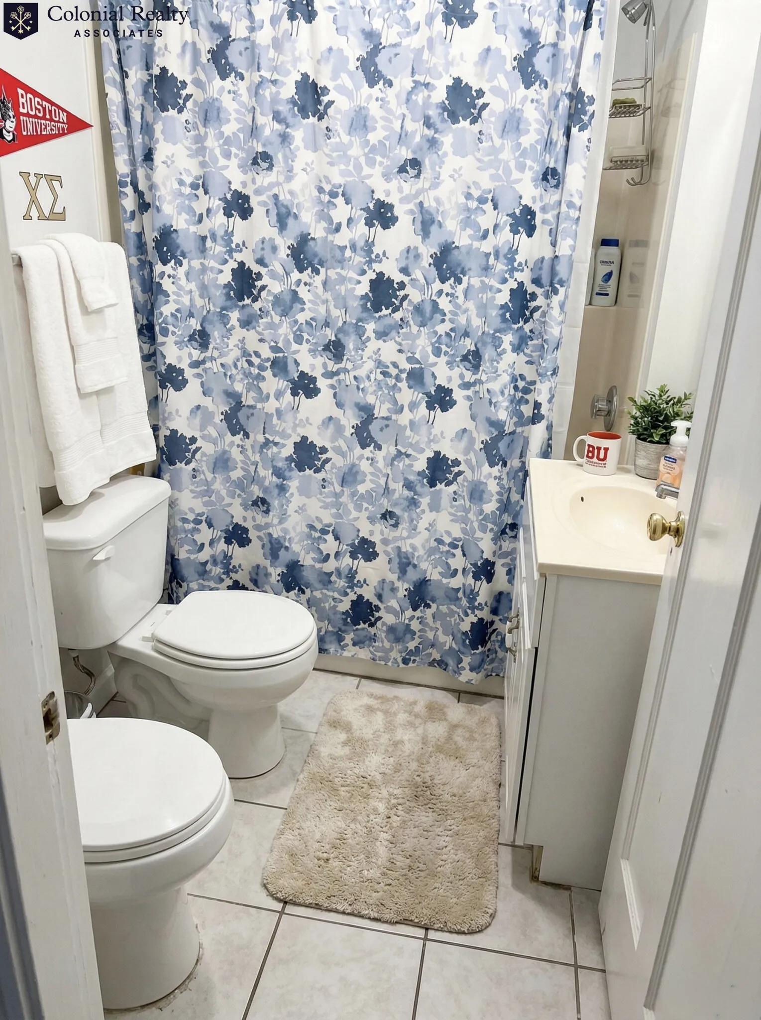 56 Egmont St, North Brookline