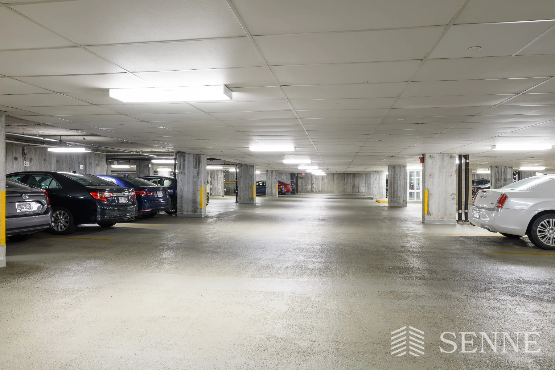 950 Massachusetts Ave, Harvard Square