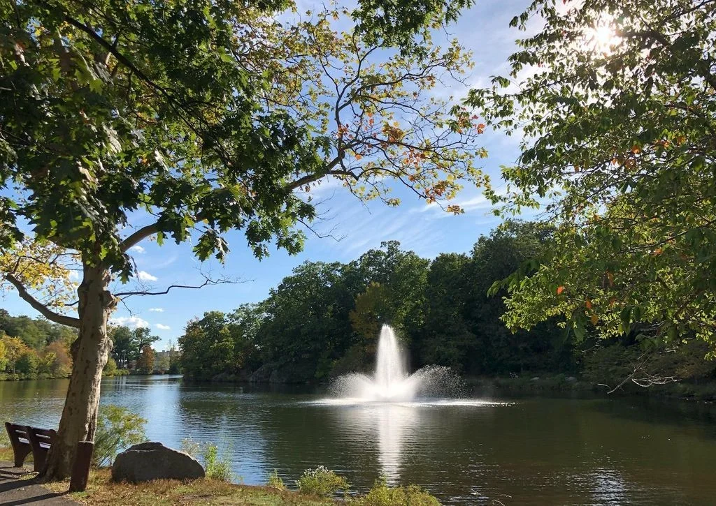 5 Chandler Rd, Malden