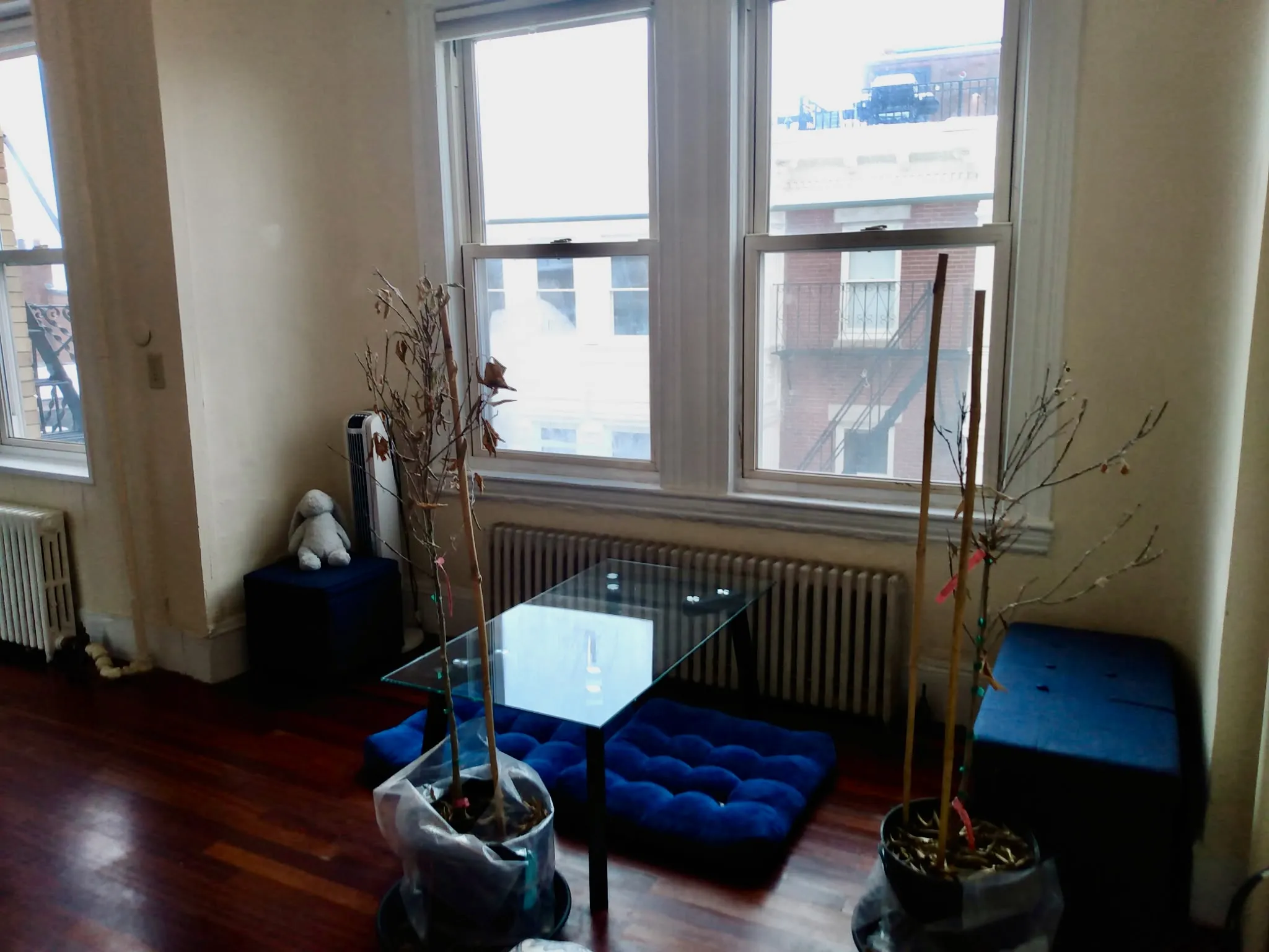 108 Myrtle St, Beacon Hill