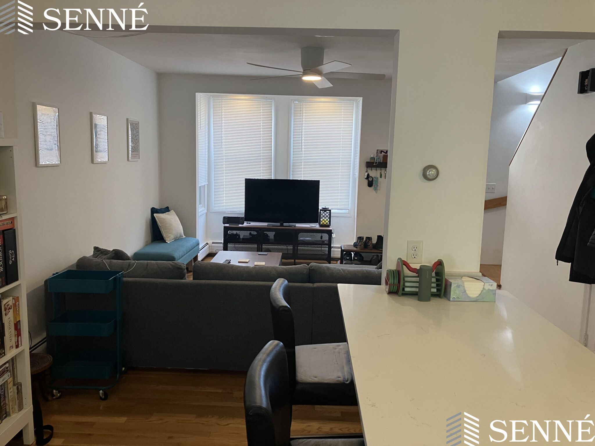 26 Thorndike St, Davis Square