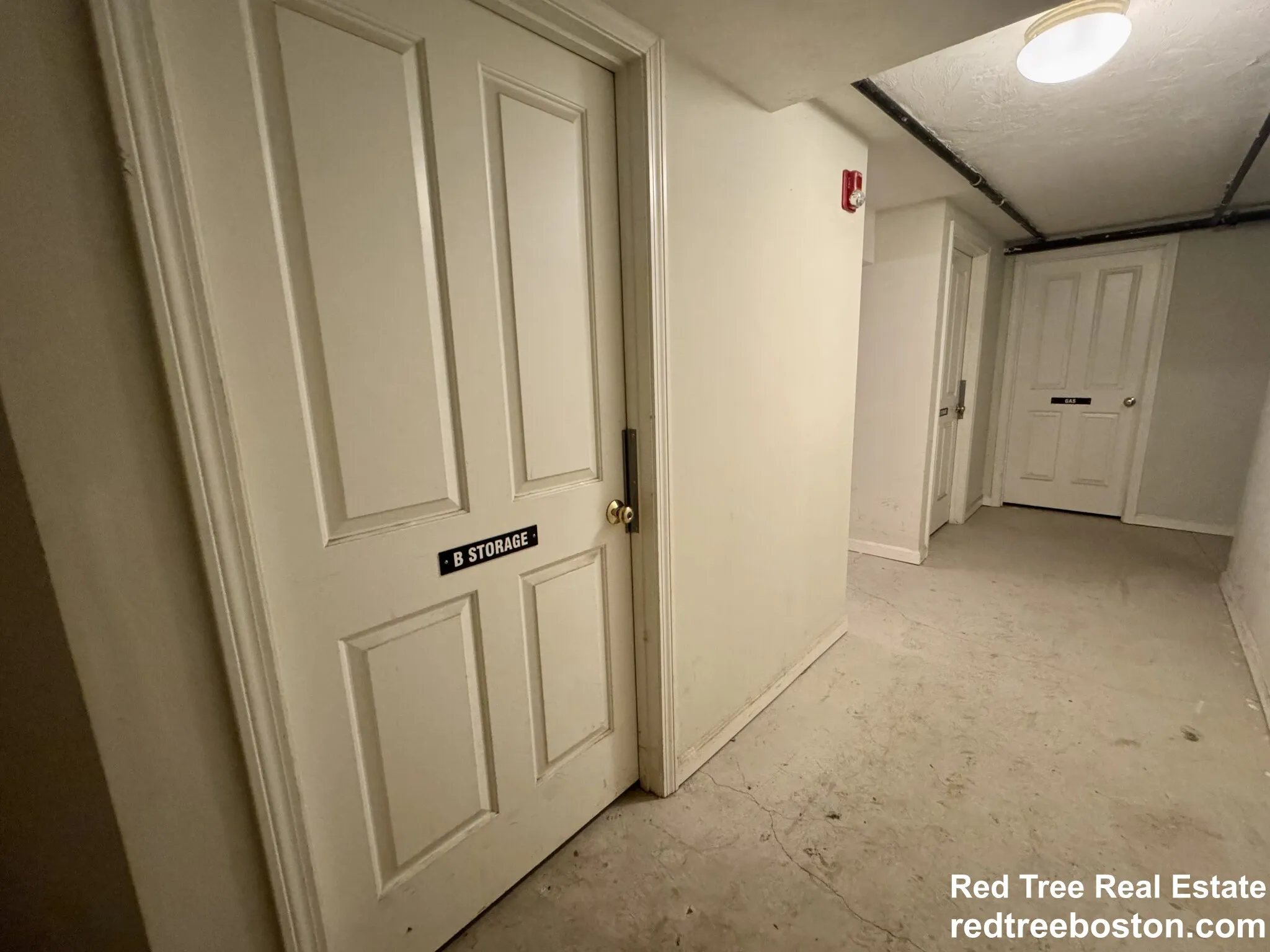 81 Westminster Ave, Roxbury