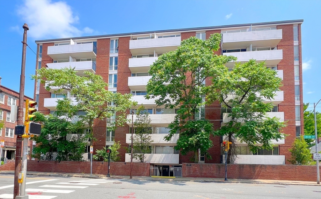 29 Concord Ave, Harvard Square