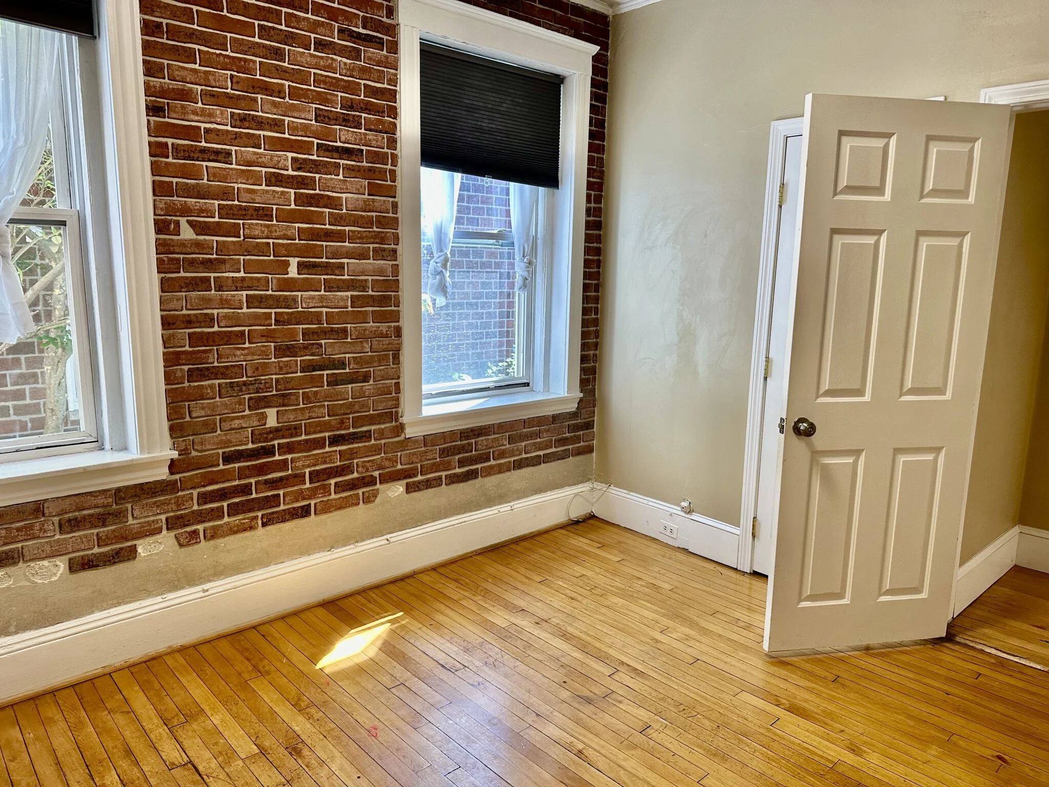 74 Egmont St, North Brookline