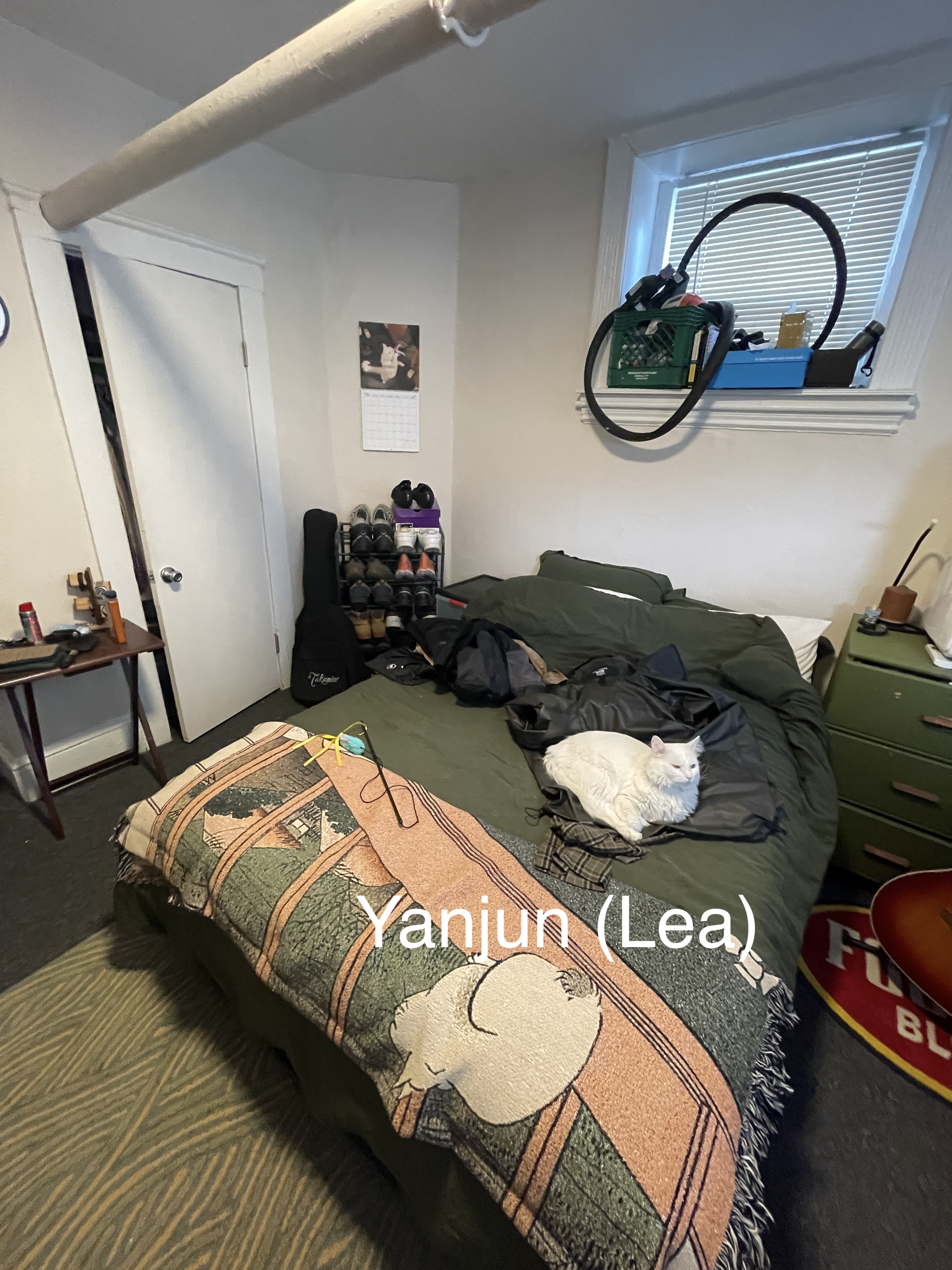 48 Brighton Ave, Brighton