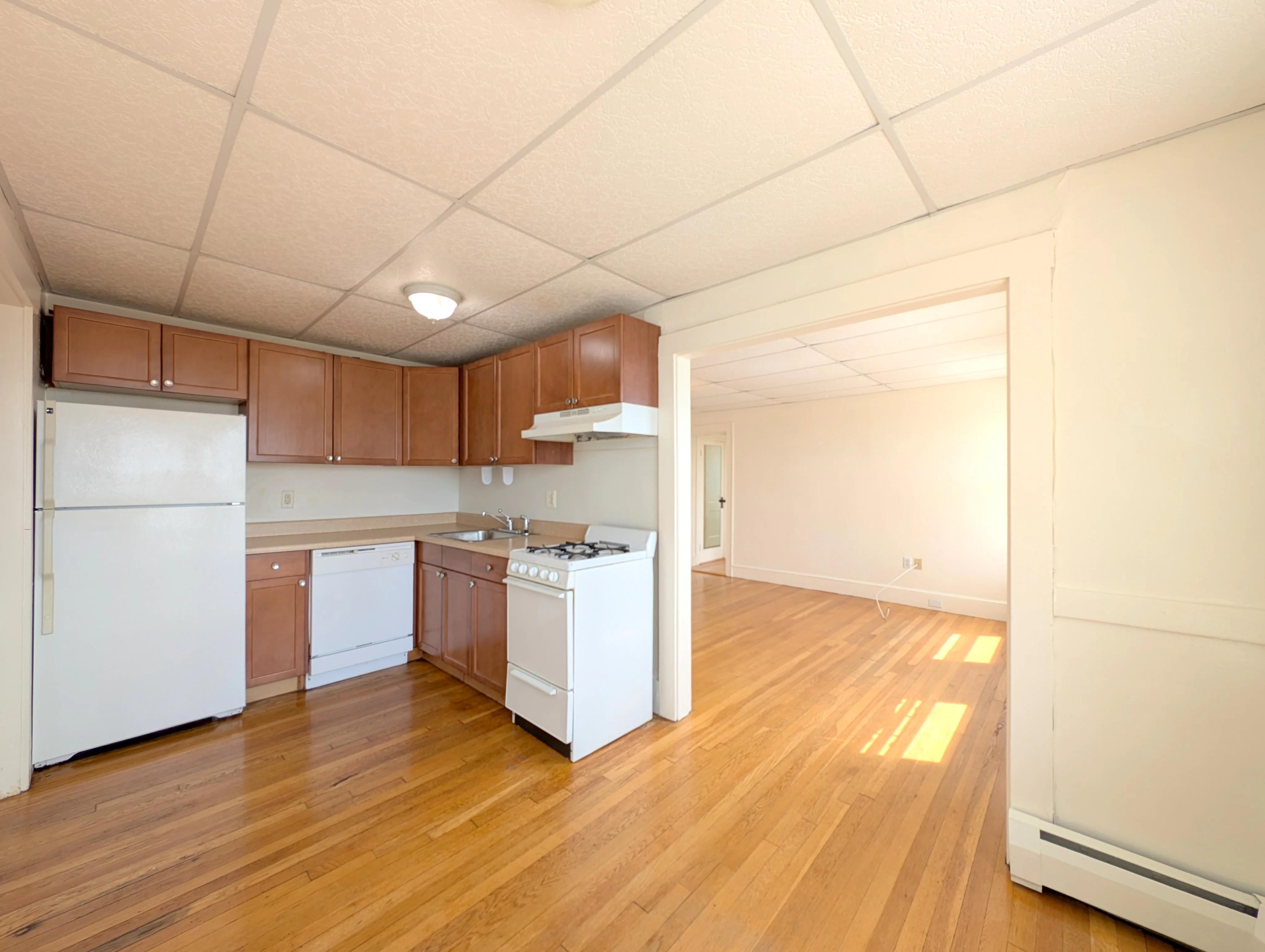 36 College Ave, Tufts