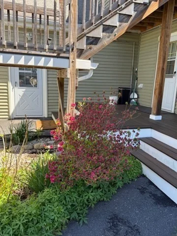 11 Elm St, Ayer