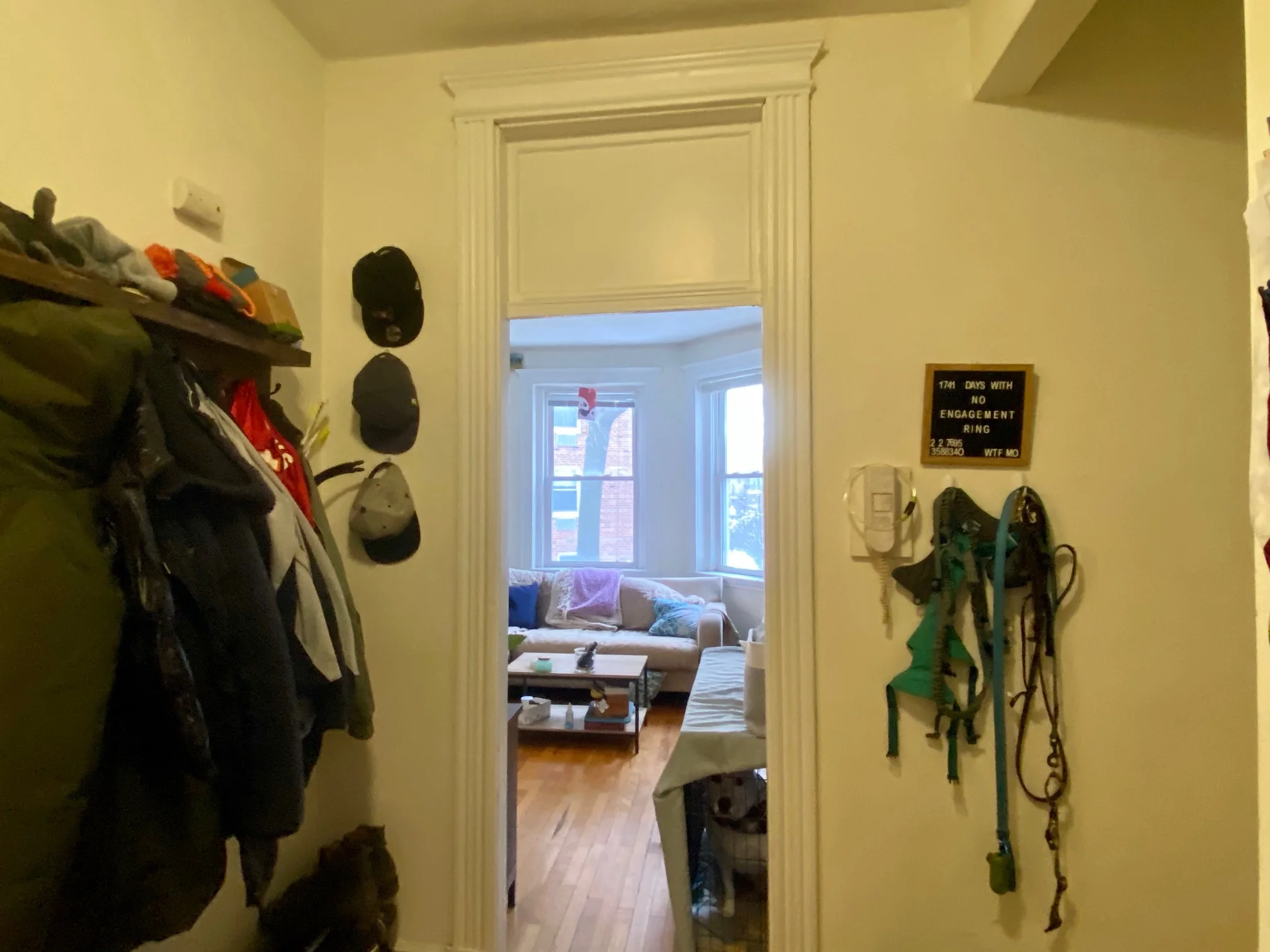 6 Camelot Ct, Brighton