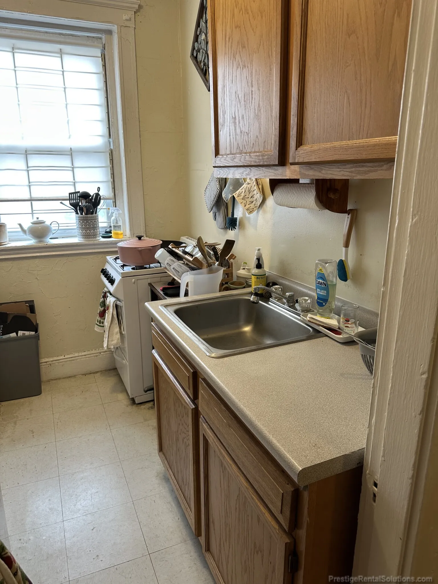 63 Woodstock Ave, Brighton