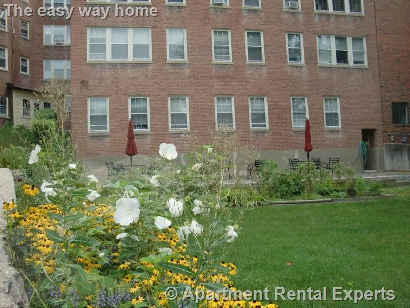 56 Concord Ave, Harvard Square